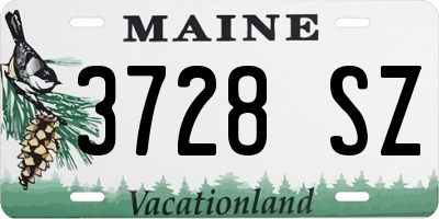 ME license plate 3728SZ