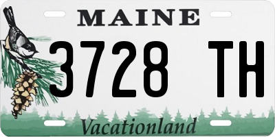 ME license plate 3728TH