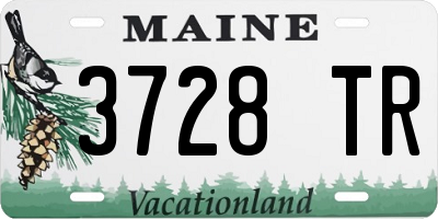 ME license plate 3728TR