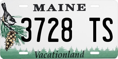 ME license plate 3728TS