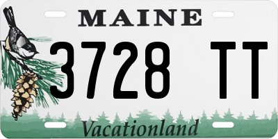 ME license plate 3728TT