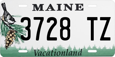 ME license plate 3728TZ
