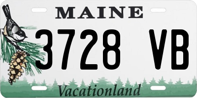 ME license plate 3728VB