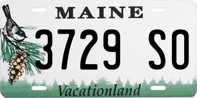 ME license plate 3729SO