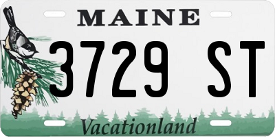 ME license plate 3729ST