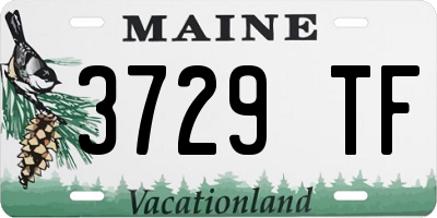 ME license plate 3729TF
