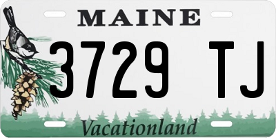 ME license plate 3729TJ