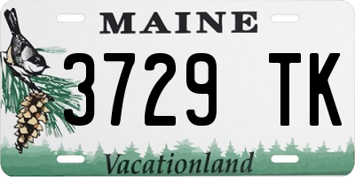 ME license plate 3729TK