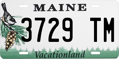 ME license plate 3729TM