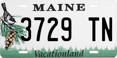ME license plate 3729TN