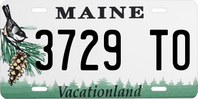 ME license plate 3729TO