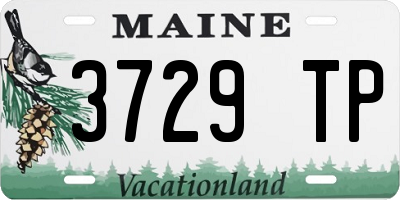 ME license plate 3729TP