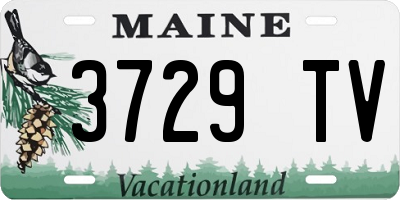 ME license plate 3729TV