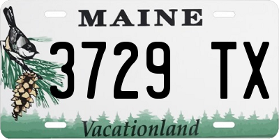 ME license plate 3729TX