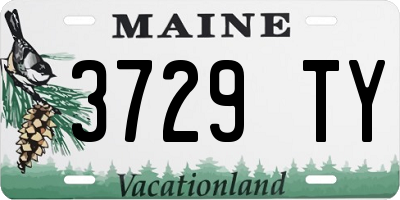 ME license plate 3729TY
