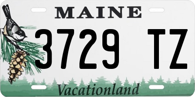 ME license plate 3729TZ