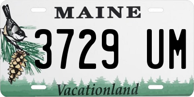 ME license plate 3729UM