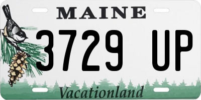 ME license plate 3729UP