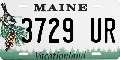 ME license plate 3729UR