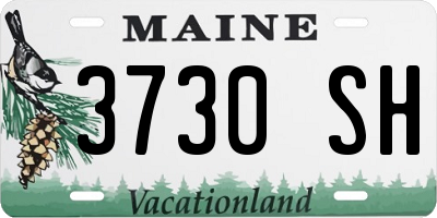 ME license plate 3730SH