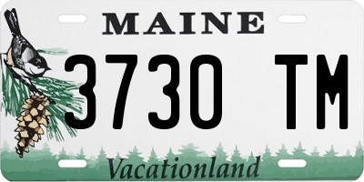 ME license plate 3730TM