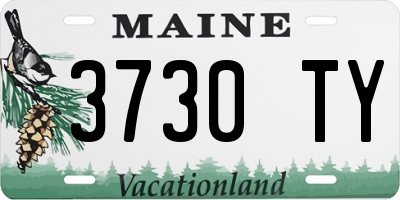 ME license plate 3730TY