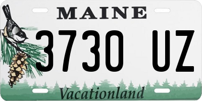 ME license plate 3730UZ