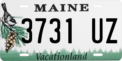 ME license plate 3731UZ