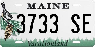ME license plate 3733SE