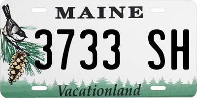 ME license plate 3733SH