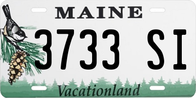 ME license plate 3733SI