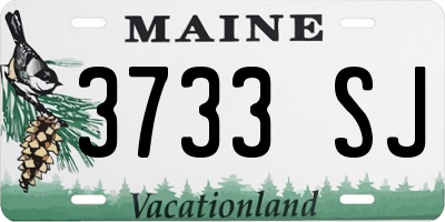 ME license plate 3733SJ