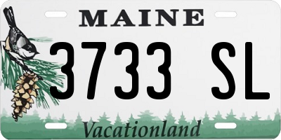 ME license plate 3733SL