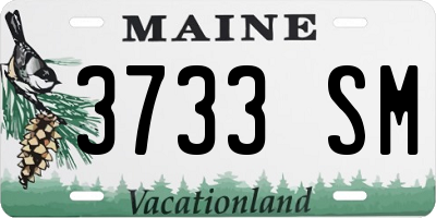 ME license plate 3733SM