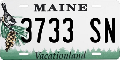 ME license plate 3733SN