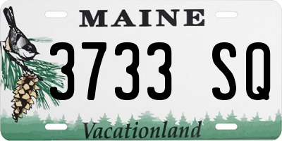 ME license plate 3733SQ