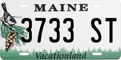 ME license plate 3733ST