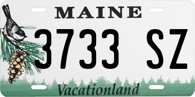 ME license plate 3733SZ