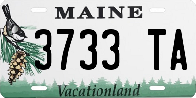 ME license plate 3733TA