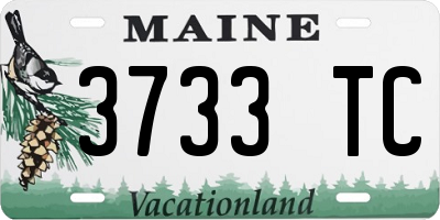 ME license plate 3733TC