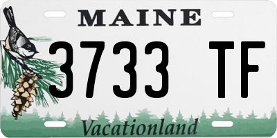 ME license plate 3733TF