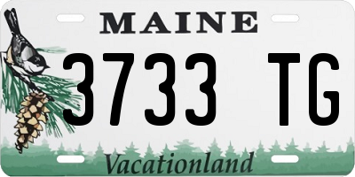 ME license plate 3733TG