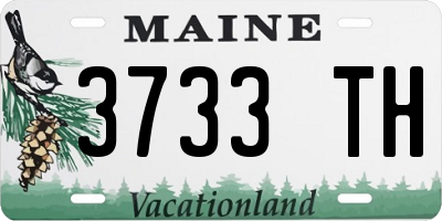 ME license plate 3733TH