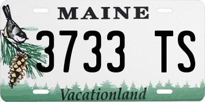 ME license plate 3733TS