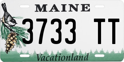 ME license plate 3733TT