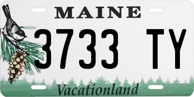 ME license plate 3733TY