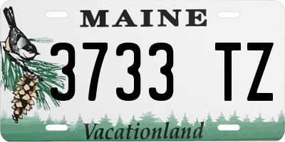 ME license plate 3733TZ