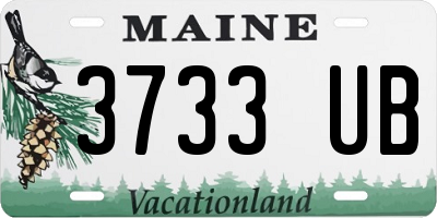 ME license plate 3733UB