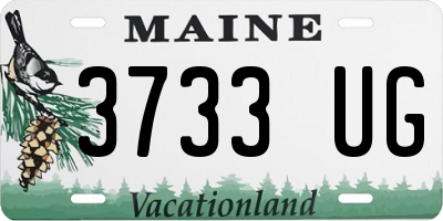 ME license plate 3733UG