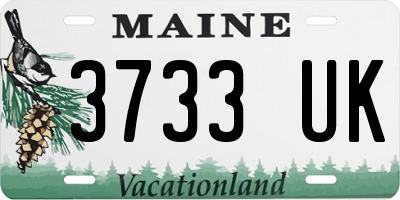 ME license plate 3733UK